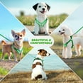 thumbnail image 7 of PcEoTllar No Pull Dog Harness and Leash Set, Adjustable Reflective Step in Dog Harness for Medium Dogs, Green M, 7 of 7