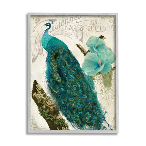 Stupell Industries Vintage Parisian Peacock Patterned Bird Blue Hibiscus Flower, 24 x 30, Design by Sophie 6