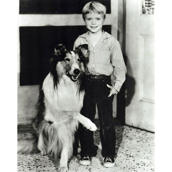 Lassie TV series Jon Provost poses with Lassie the dog 8x10 inch photo