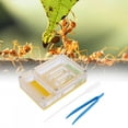 thumbnail image 2 of Rewera Acrylic Transparent Ant Breeding House Nest Formicarium Display Box Ornamental, 2 of 8