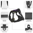 thumbnail image 3 of Naloa Mardi Gra Geometric Pet Harness Vest with Traction Rope, Adjustable No-Choke Dog Vest for Outdoor, Walking - X-Large, 3 of 4
