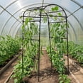 thumbnail image 5 of Garden Arch Trellis for Raised Beds, 6.73 x 2.62 x 2.95 ft U-Shaped Plant Support for Cucumbers, Melons, Grapes, Roses & Climbing Vegetables, Black, 5 of 7