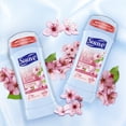 thumbnail image 6 of Suave Antiperspirant Deodorant, Wild Cherry Blossom, 2.6 oz, 2 Pack, 6 of 11