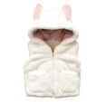 thumbnail image 2 of Esaierr Kids Baby Girls Fleece Vest Outwear Little Girls Autumn Winte Thickened Sleeveless Jacket Toddler Newborn Zipper Plush Waistcoat Standing Collar Hoodies Warm Cotton Vest Coats for 6M-5Y, 2 of 8