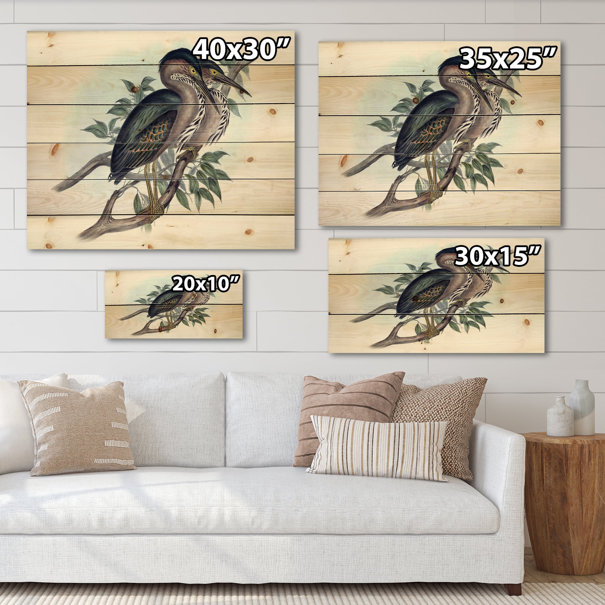 Designart 'Ancient Australian Birds VII' Traditional Print on Natural Pine Wood