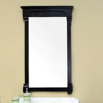 Bellaterra Home 24 in Solid wood frame mirror