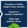 thumbnail image 4 of Life Extension 7-Keto® DHEA Metabolite, 100 mg - For Weight Management & Hormone Balance - Gluten Free, Non-GMO - 60 Vegetarian Capsules, 4 of 10