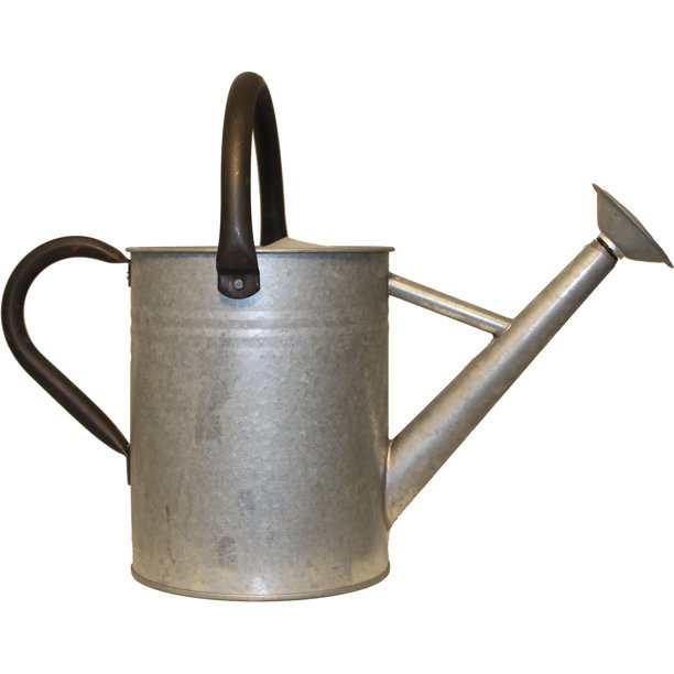 Panacea ProductsAged Galvanized Watering Can Galvanized 1 Gallon