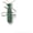 Green, variant on Kat Fly 2 Inch Handmade Cat Toy Teaser Wand Refill Beetle - Red Natural Material Toy