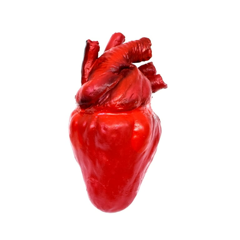 Realistic Human Heart Scary Haunt House Prop Halloween Horror Costume Accessory Realistic Human Heart Scary Haunt House Prop Halloween Horror Costume Accessory