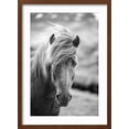 thumbnail image 2 of Art.com Portrait of Icelandic Horse in Black and White Photographic Print by Aleksandar Mijatovic, Brown Frame Wall Art, 17" x 23", 2 of 5