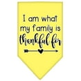 thumbnail image 6 of Pet and Dog Bandana Screen Printed, "I Am What My Family Is Thankful For", 6 of 10