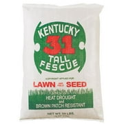 25 lbs Ky 31 Tall Fescue Grass Seed - Pack of 25