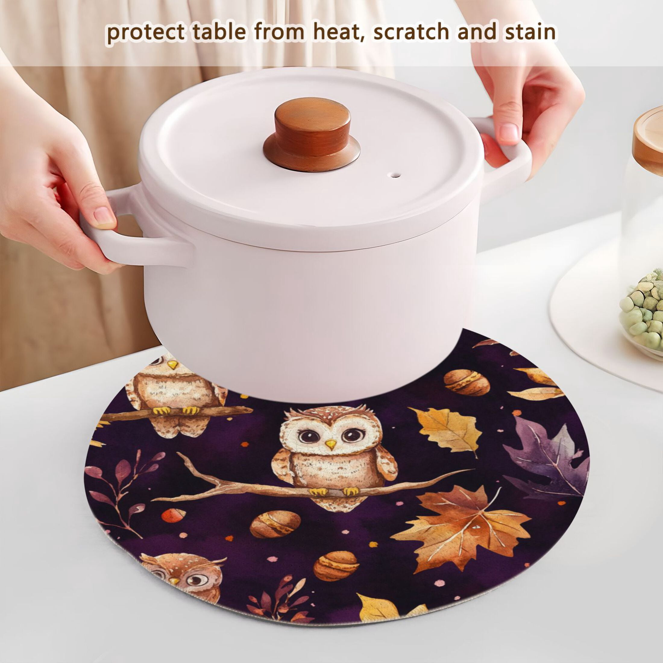 WOBOGO Adorable Baby Owls and Acorns Pattern Coil Placemats 3pcs Resistant Hot Pads Mat for Table Counter Cooking Potholder 15in