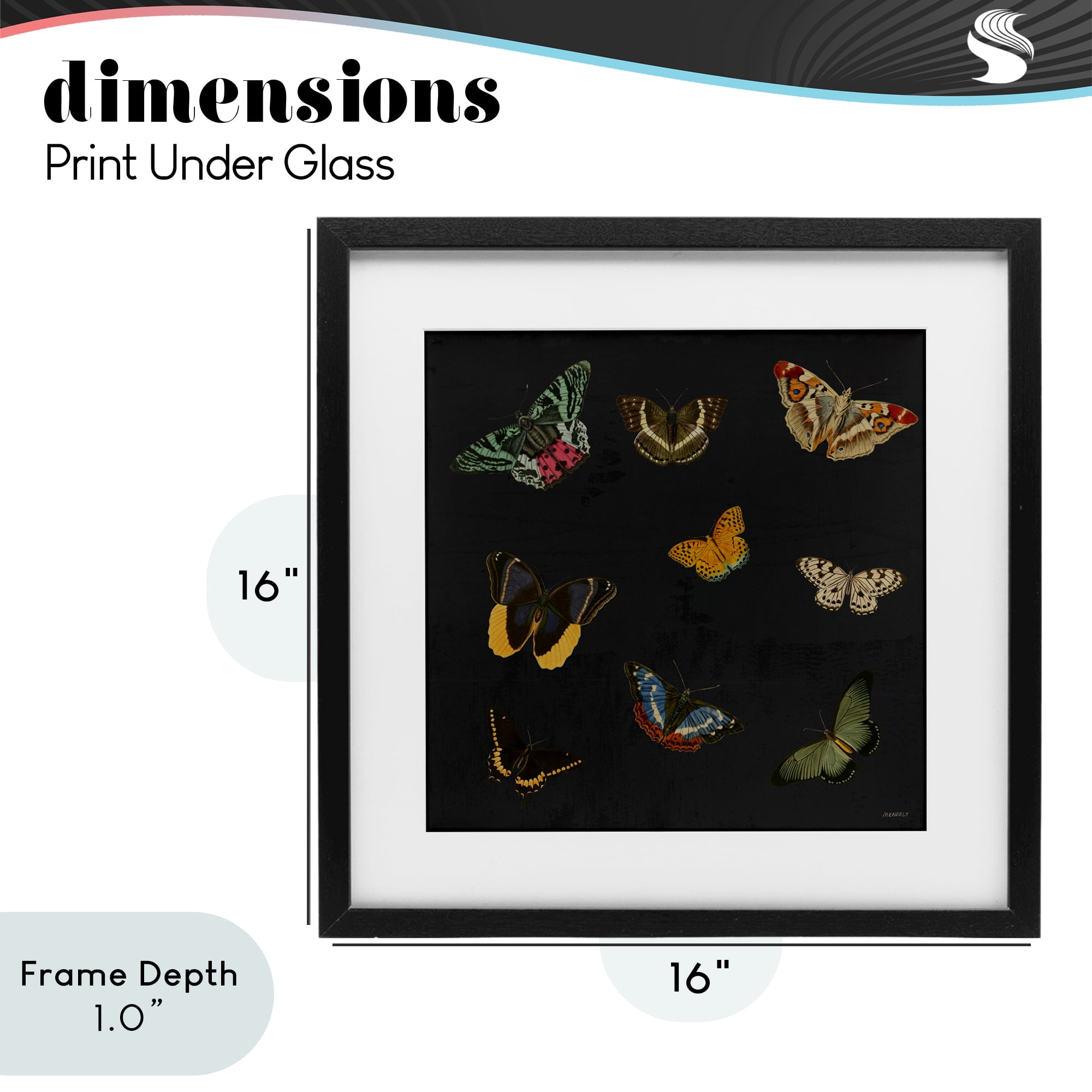 Stupell Industries Butterfly & Moth Collection Black Framed Print Under Glass, design by Dan Meneely