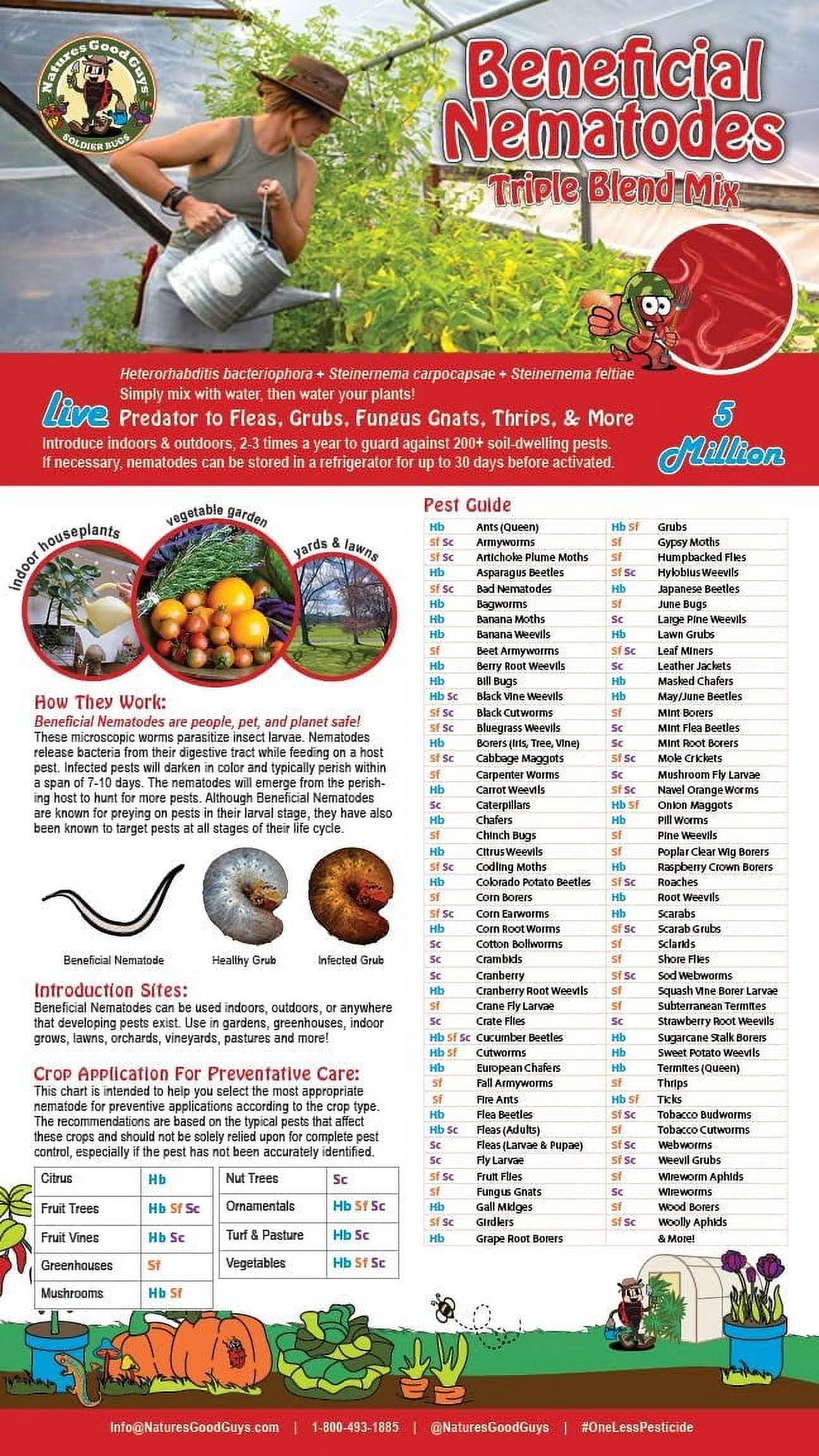 Beneficial Nematodes - 15 Million Hb+Sc+Sf - Kills Over 200 Different Species of Soil Dwelling and Wood Boring Insects.