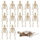 thumbnail image 1 of Esqueletos para Decoración de Halloween, 12 Piezas Mini Figuras de Seleton Decoración de Halloween para Fiestas de Accesorios de Casa Encantada, 1 of 5