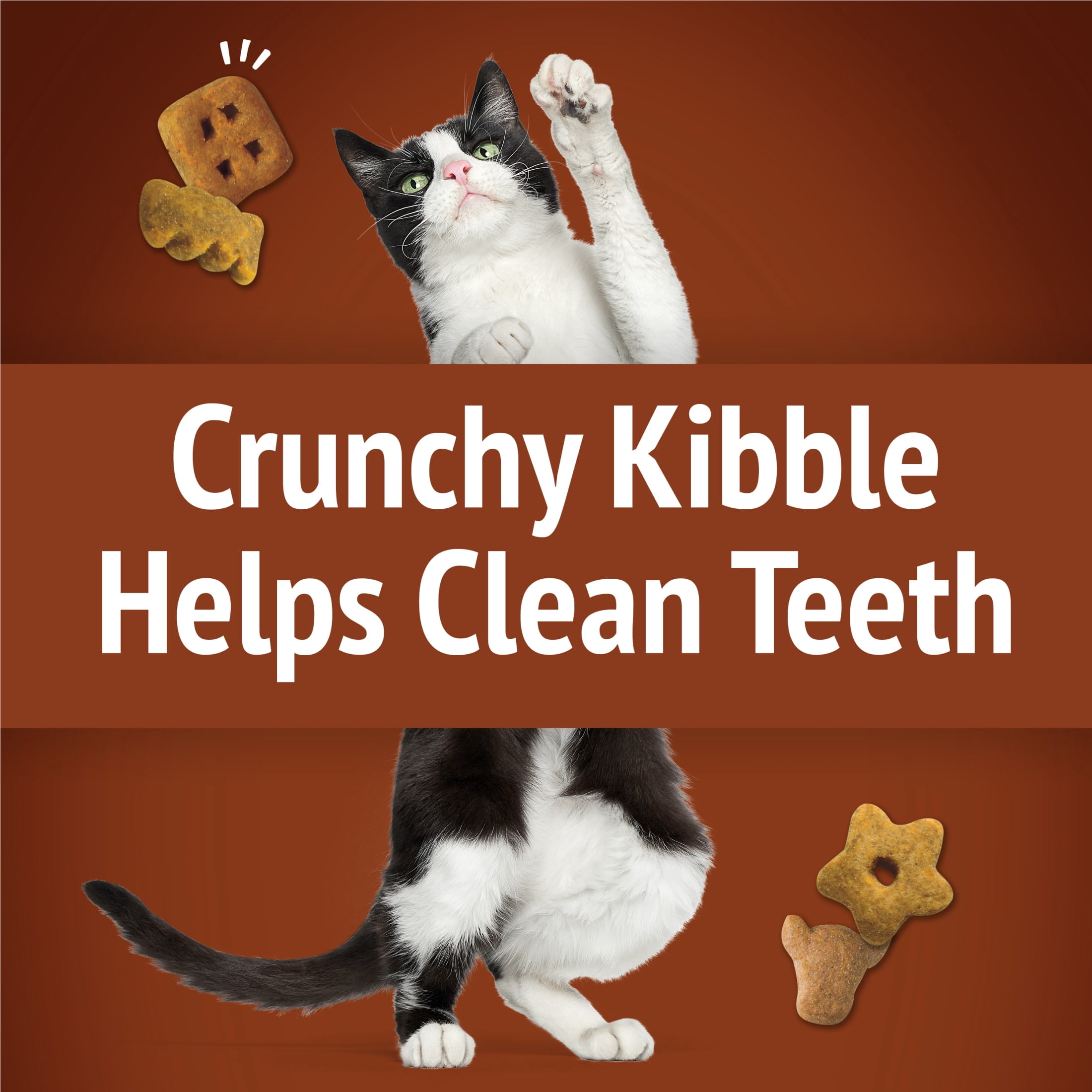 (10 pack) Purina Friskies Party Mix Wild West Crunch Cat Treats, Beef, Liver, & Cheddar, 2.1 oz Bag