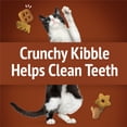 thumbnail image 6 of (5 pack) Purina Friskies Party Mix Wild West Crunch Cat Treats, Beef, Liver, & Cheddar, 2.1 oz Bag, 6 of 13