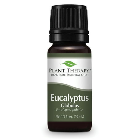 Plant Therapy Eucalyptus Globulus Essential Oil 10 mL (1/3 fl. oz.) 100% Pure, Undiluted, Therapeutic Grade Plant Therapy Eucalyptus Globulus Essential Oil 10 mL (1/3 fl. oz.) 100% Pure, Undiluted, Therapeutic Grade