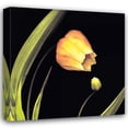 thumbnail image 1 of Andrew Levine 36x36 Gallery Wrapped Canvas Wall Art Titled - Japanese Lanterns, 1 of 4