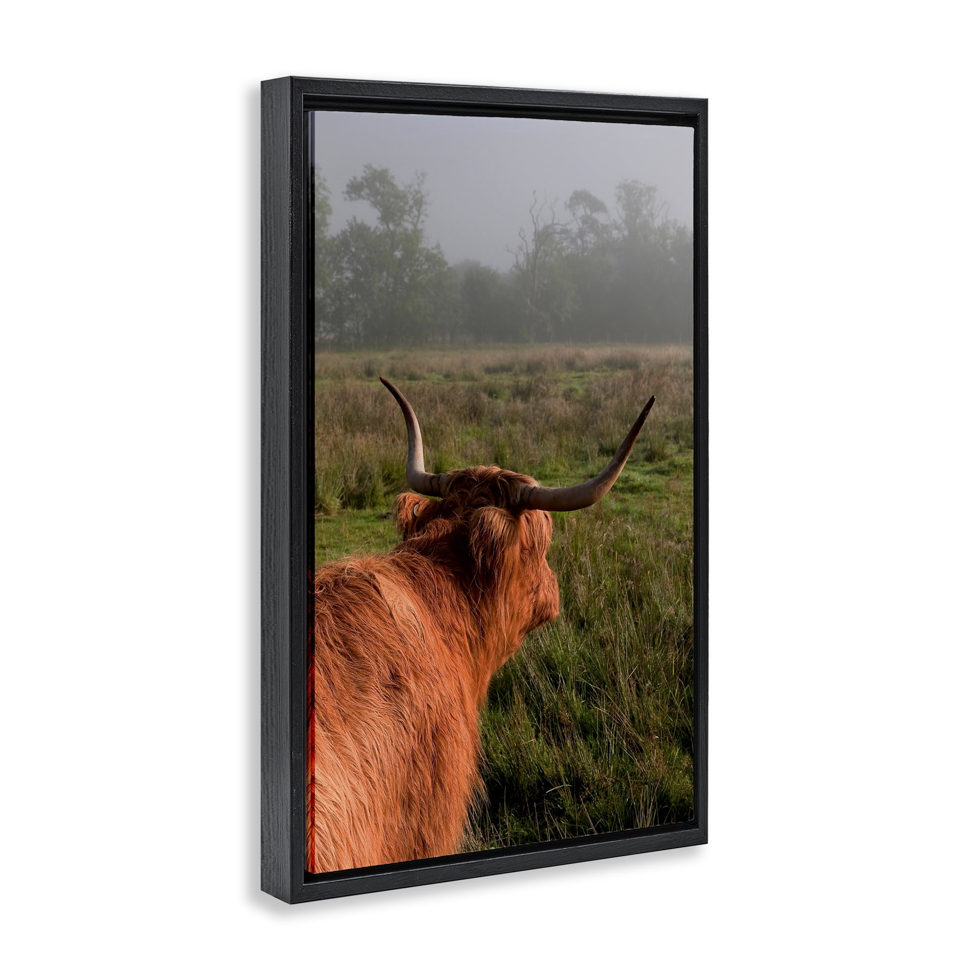 Highland Cow Gazing Out Black Framed Floater Canvas Wall Art, design by Jenny Rainbow Fine Art
