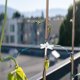 thumbnail image 4 of WEUVEB 10Ud Sujetadores Transparentes Para Plantas Y Con, 4 of 7