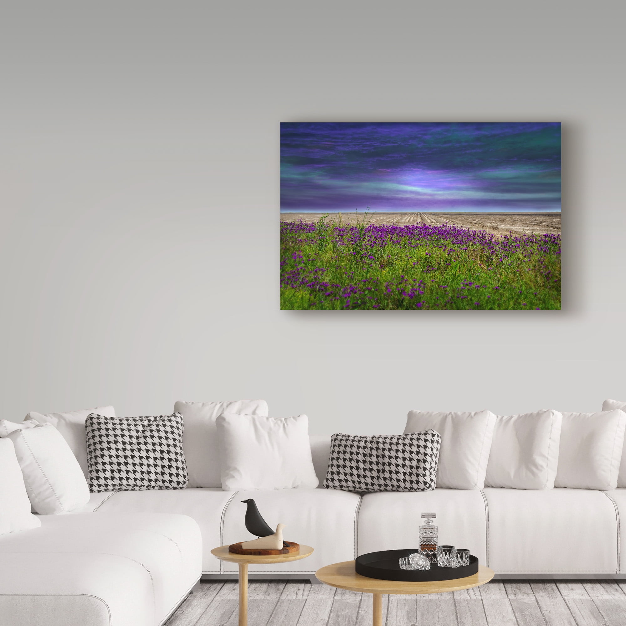 Trademark Fine Art 'Beyond The Wildflower' Canvas Art by Barbara Simmons