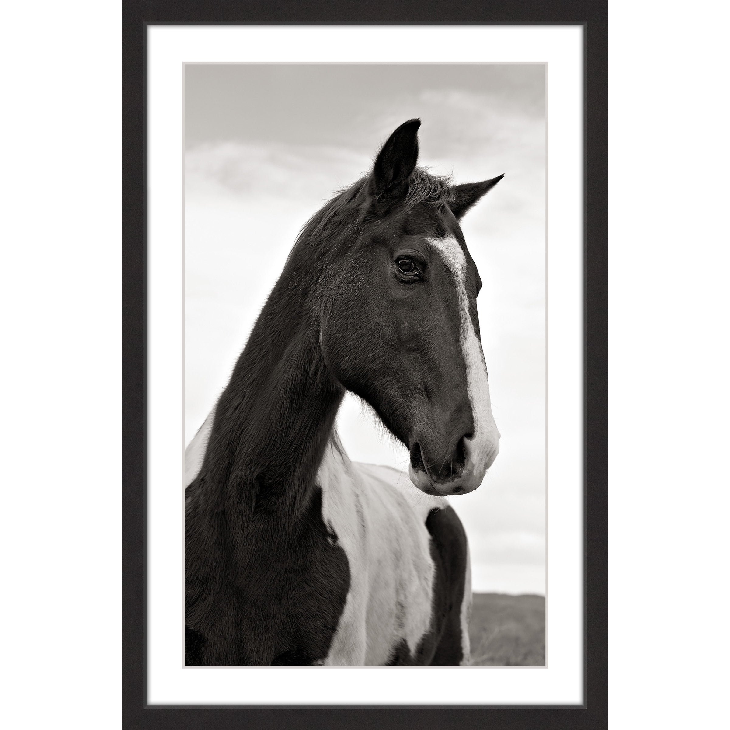 "Ranch Horse Wisdom" Framed Painting Print