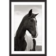 thumbnail image 2 of "Ranch Horse Wisdom" Framed Painting Print, 2 of 5