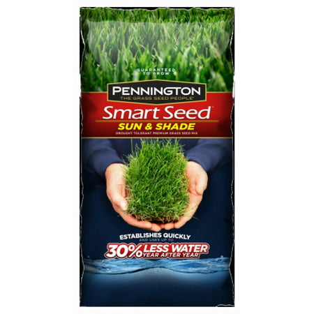 Pennington Smart Seed Sun & Shade Mix, 7 Lbs (Best Grass Seed For Shade Under Trees)