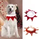 thumbnail image 5 of Pañuelo Para Perro, Pañuelo Para Mascotas, Collar Para Gatos, 5 of 8