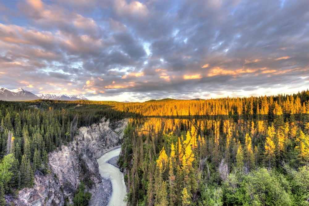 Scenic view of the Kuskulana River Canyon and Wrangell Mountains at sunset from the Kuskulana River Bridge on the McCarthy Road in Wrangell-St Elias National Park and Preserve Southcentral Alaska Spri