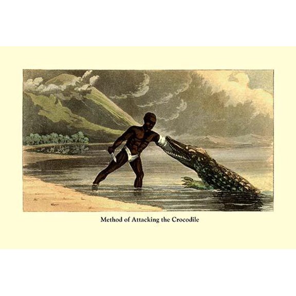 Method of Attacking the Crocodile-Fine Art Canvas Print (20" x 30")