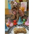 thumbnail image 6 of PetCakes Dog Birthday Cake Kit - All Natural Treats - Puppy To Large Dogs, Carob Flavor - 5.5 Oz, 6 of 7
