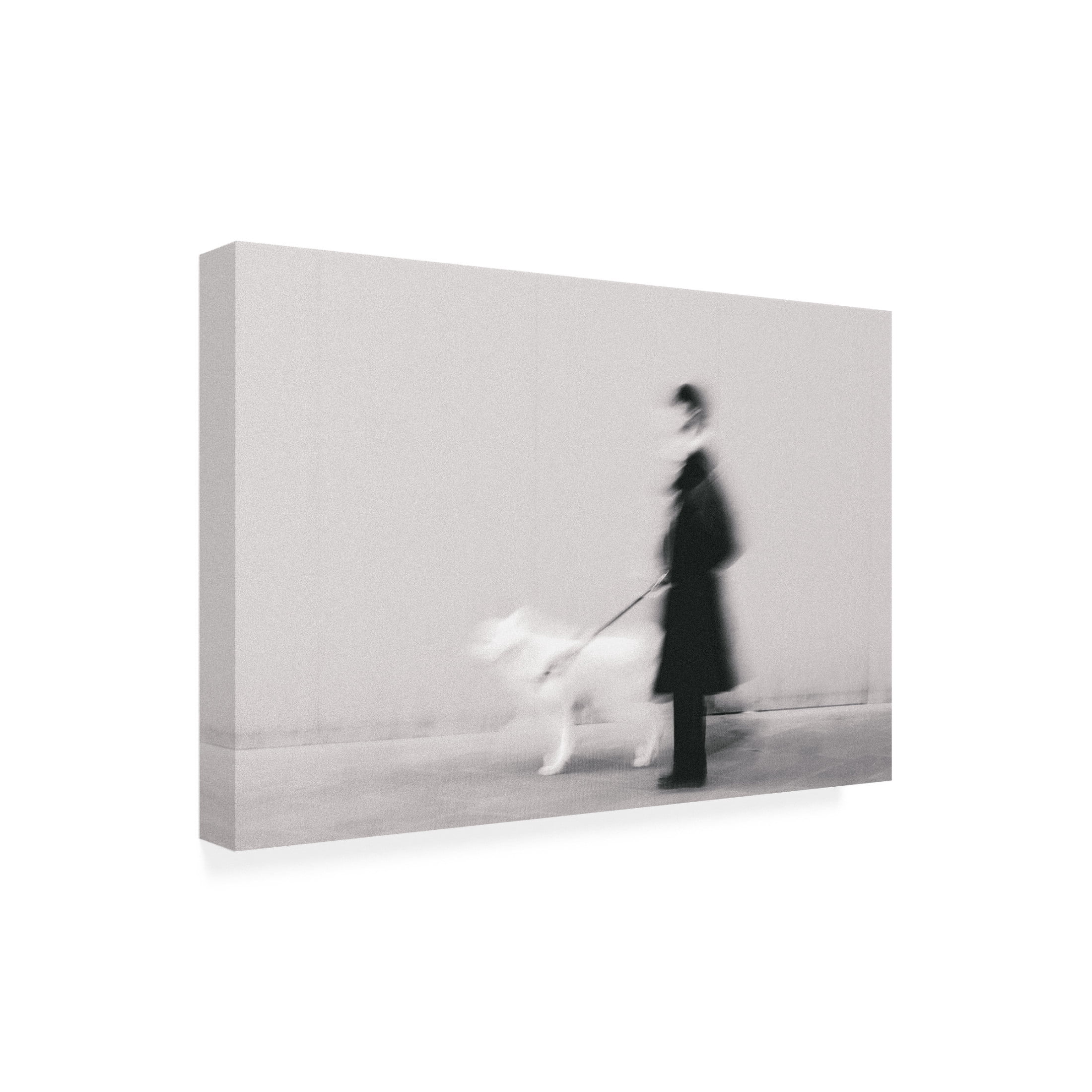 Trademark Fine Art Roberto Ruoli Black In Too White Canvas Wall Art