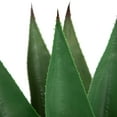 thumbnail image 6 of Northlight Real Touch™️ Artificial Green Agave Americana Succulent Potted Plant - 26", 6 of 8