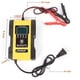 thumbnail image 4 of IEIK Cargador de batería de 12 V/6 A para coche, camión, motocicleta, cortacésped, barco, ATV, litio, 4 of 8