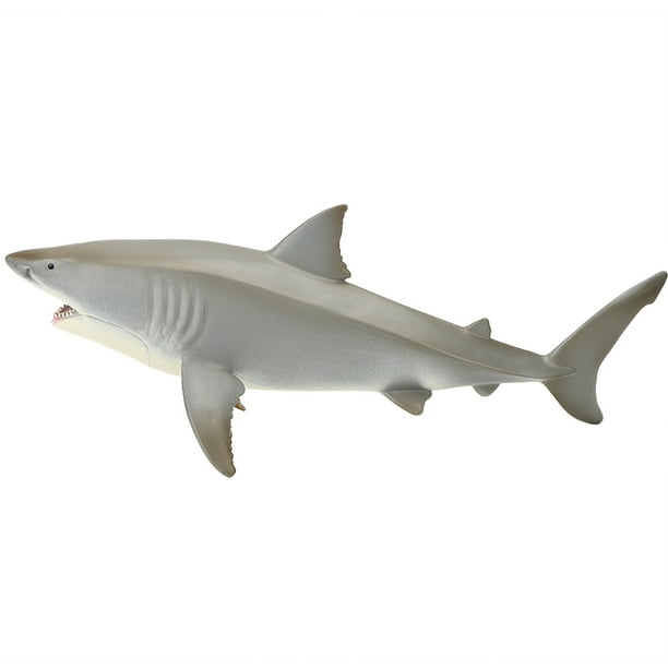 Sharks Model,Sharks Model Simulation Marine Educational Model Sharks