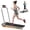 Antique Silver, variant on CNSRX Folding Treadmill with 2.5 HP Motor and 9% Incline