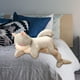 thumbnail image 4 of Tiburón Gato de Peluche Suave 70CM Sunnimix Juguetes de peluche, 4 of 8