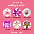 thumbnail image 2 of Miracle-Gro Water Soluble Orchid Food, 8 oz., For All Acid-Loving Plants, 2-Pack, 2 of 9
