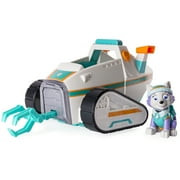 Paw Patrol - Everest’s Pull Back Snowplow
