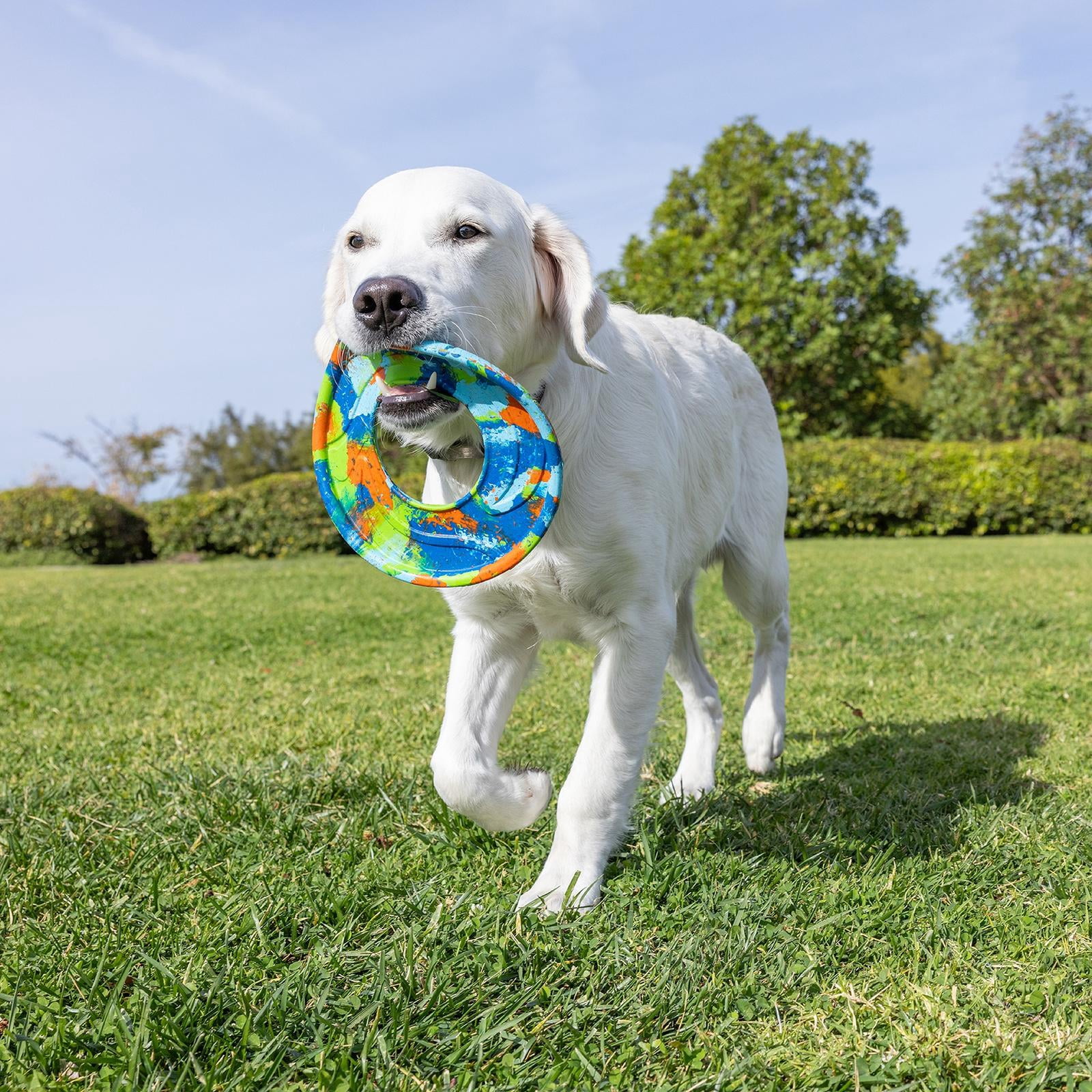 Chuckit! EcoFetch Flyer Dog Toy Recycled Rubber Fetch Ring for Dogs, Medium 8" Diameter, Pack of 1