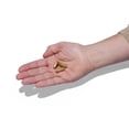thumbnail image 5 of Beyond Raw DTF, 90 Tablets (Pack of 1), 5 of 5