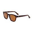 thumbnail image 1 of Gafas de sol OTIS Summer of 67 X Eco Havana/Brown Polar, 1 of 1