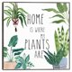 thumbnail image 1 of Cuadros Decorativos Jr Casa de las plantas II con marco Canvas, 1 of 2