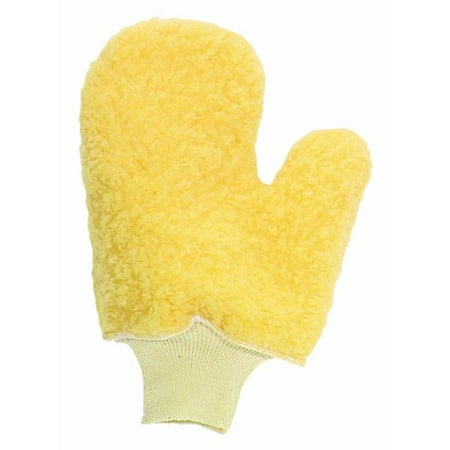 Painter's Mitt