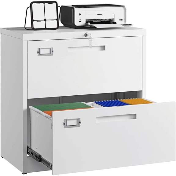 Letaya 2 Drawer File Cabinet with Lock,Metal Lateral Filing Cabinet for Home Office,Hanging Letter/Legal/A4 Size (White, H27.95×W28.35×D15.74)