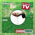 Canada Green Grass Lawn Seed Grows Healthy Rich Green Grass Lawn Seed